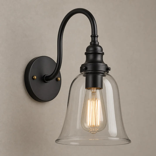 Clear Shade with Black Hardware Pendant Light