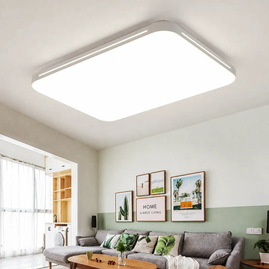 Rounded-Rectangle Twin Edge-Strip Ceiling Light