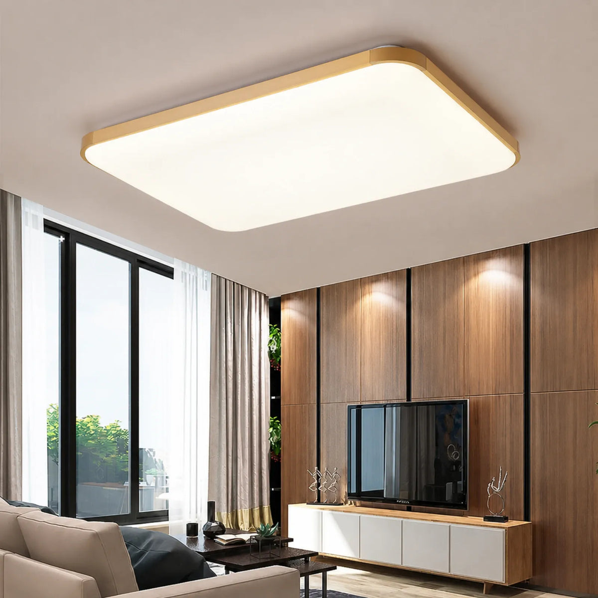 Segmented-Rim Rounded-Rectangle Ceiling Light