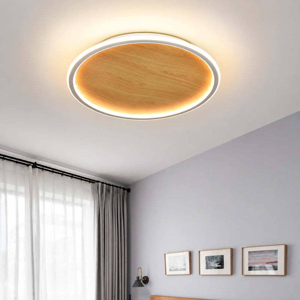Center-Disc Double-Ring Ceiling Light