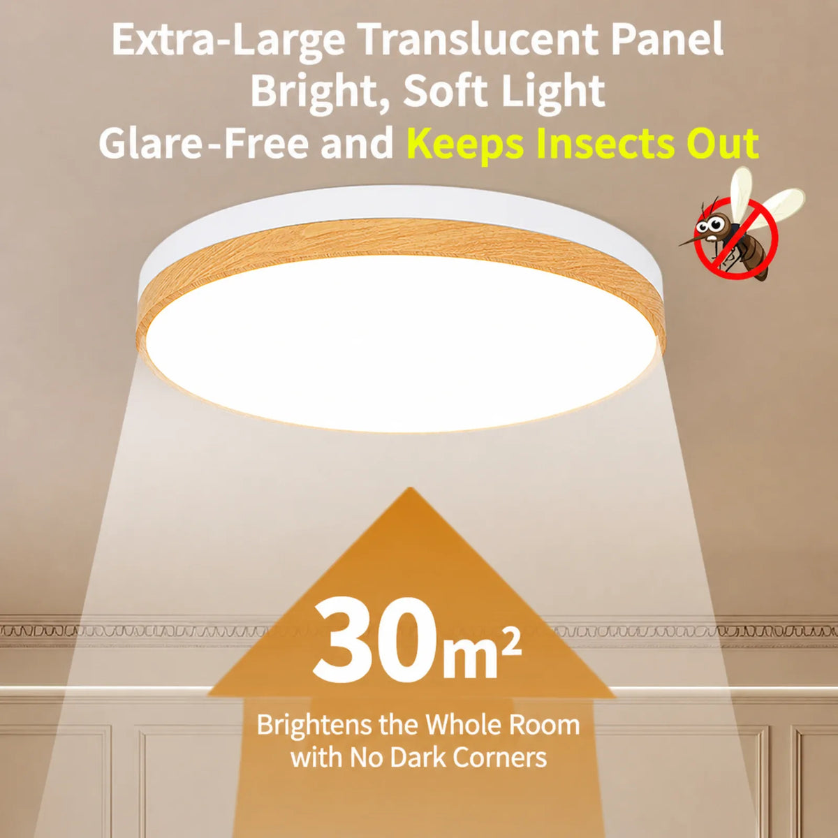 Crown-Rim Round Ceiling Light