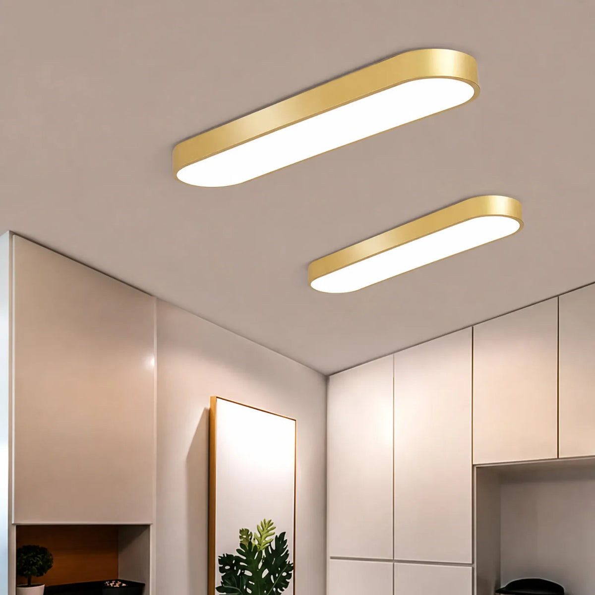 Rounded-Rectangle Panel Ceiling Light