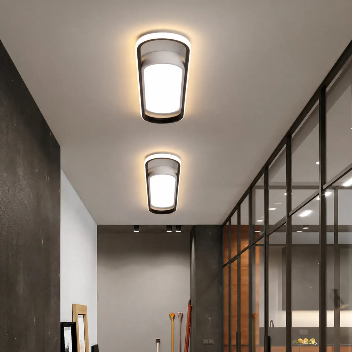 Capsule Frame Ceiling Light