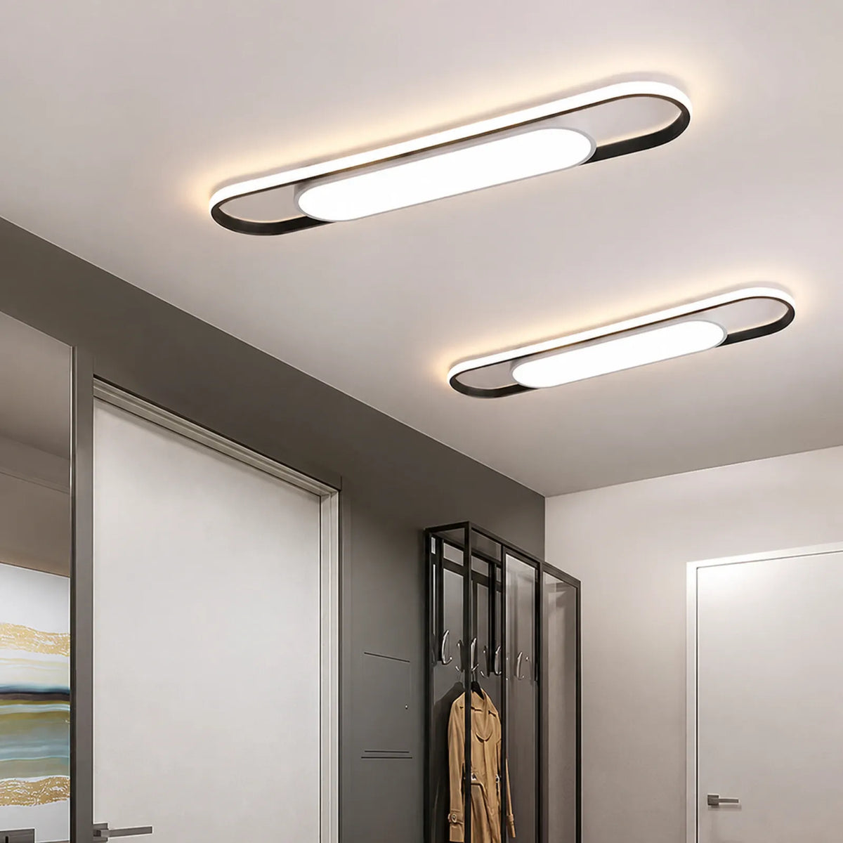 Capsule Frame Ceiling Light