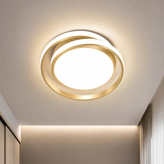 Offset Dual-Loop Ceiling Light