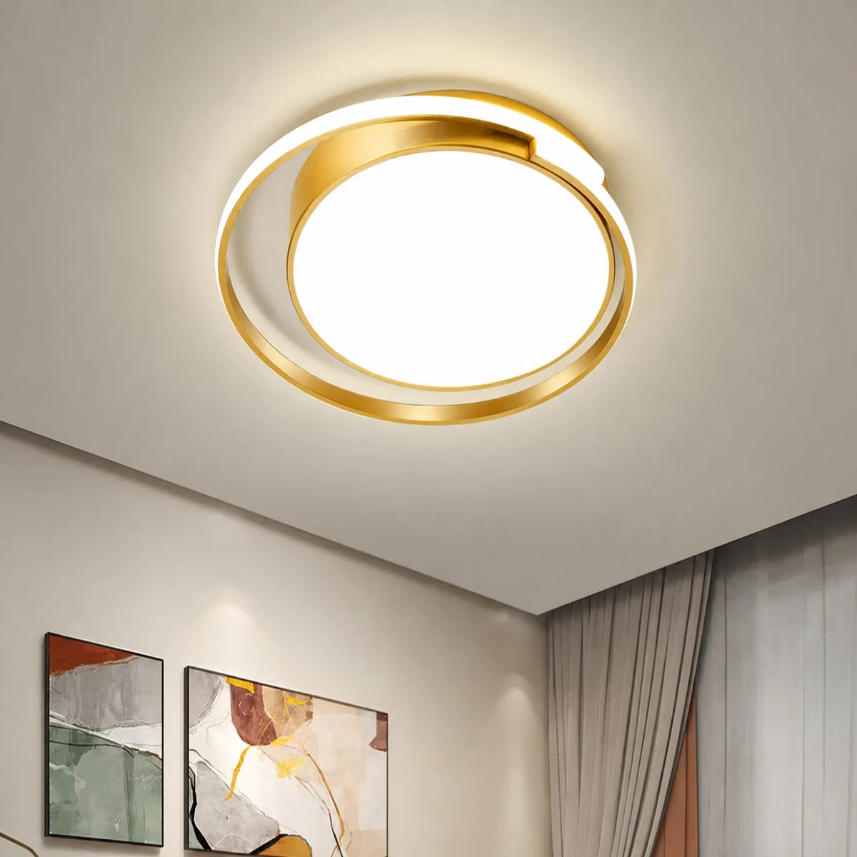 Twin Disc Ring Ceiling Light