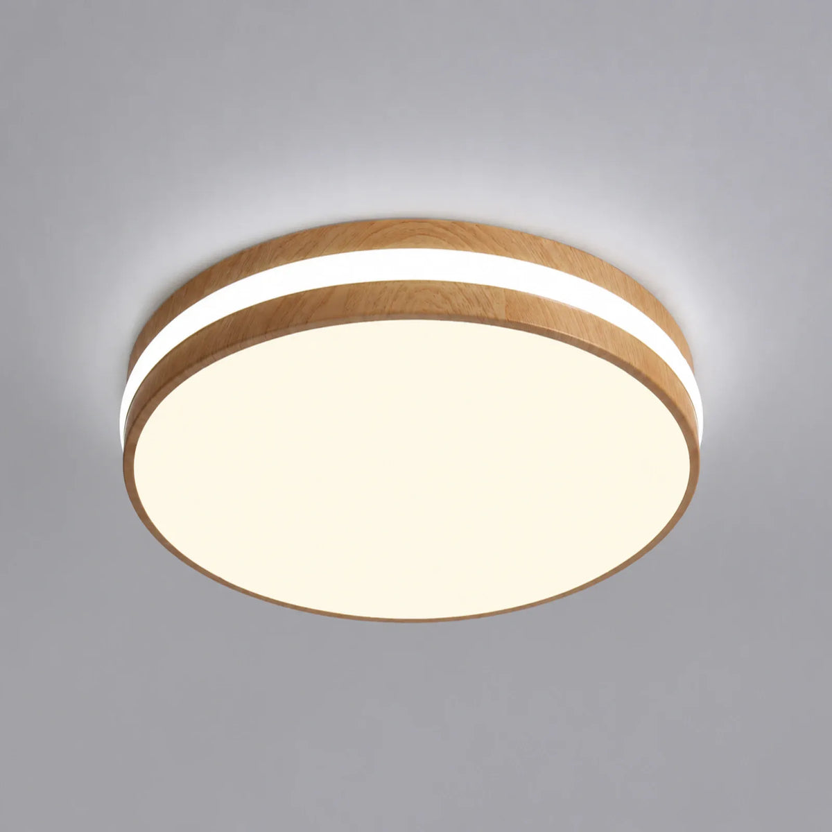 Double-Band Diffuser Ceiling Light