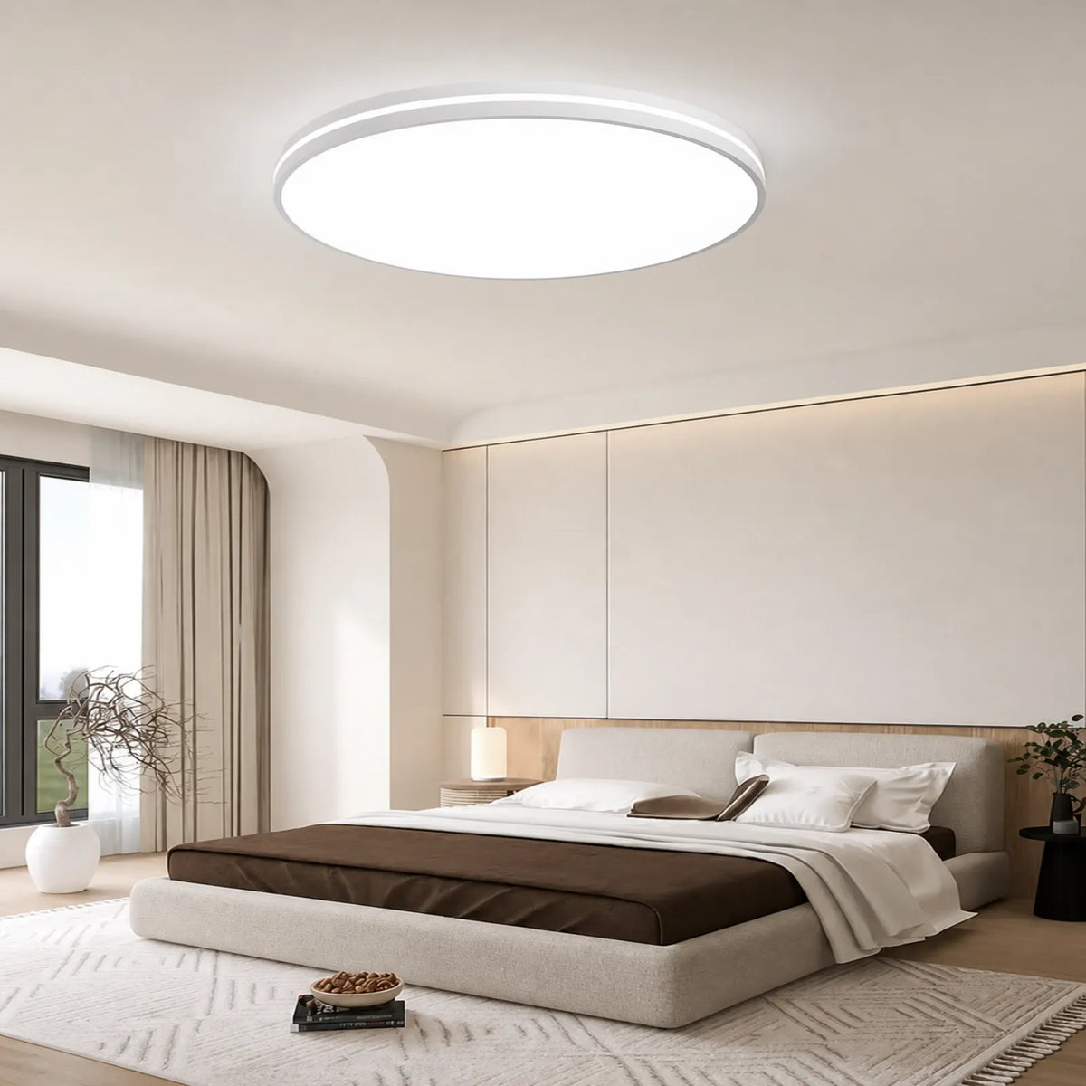 Raised-Rim Disc Ceiling Light