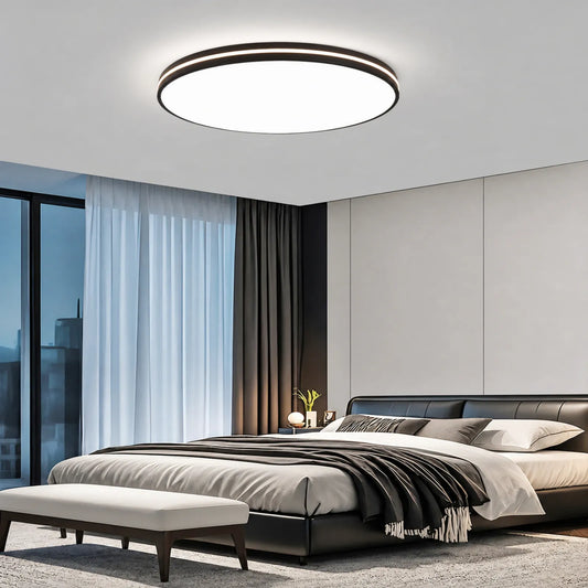 Raised-Rim Disc Ceiling Light