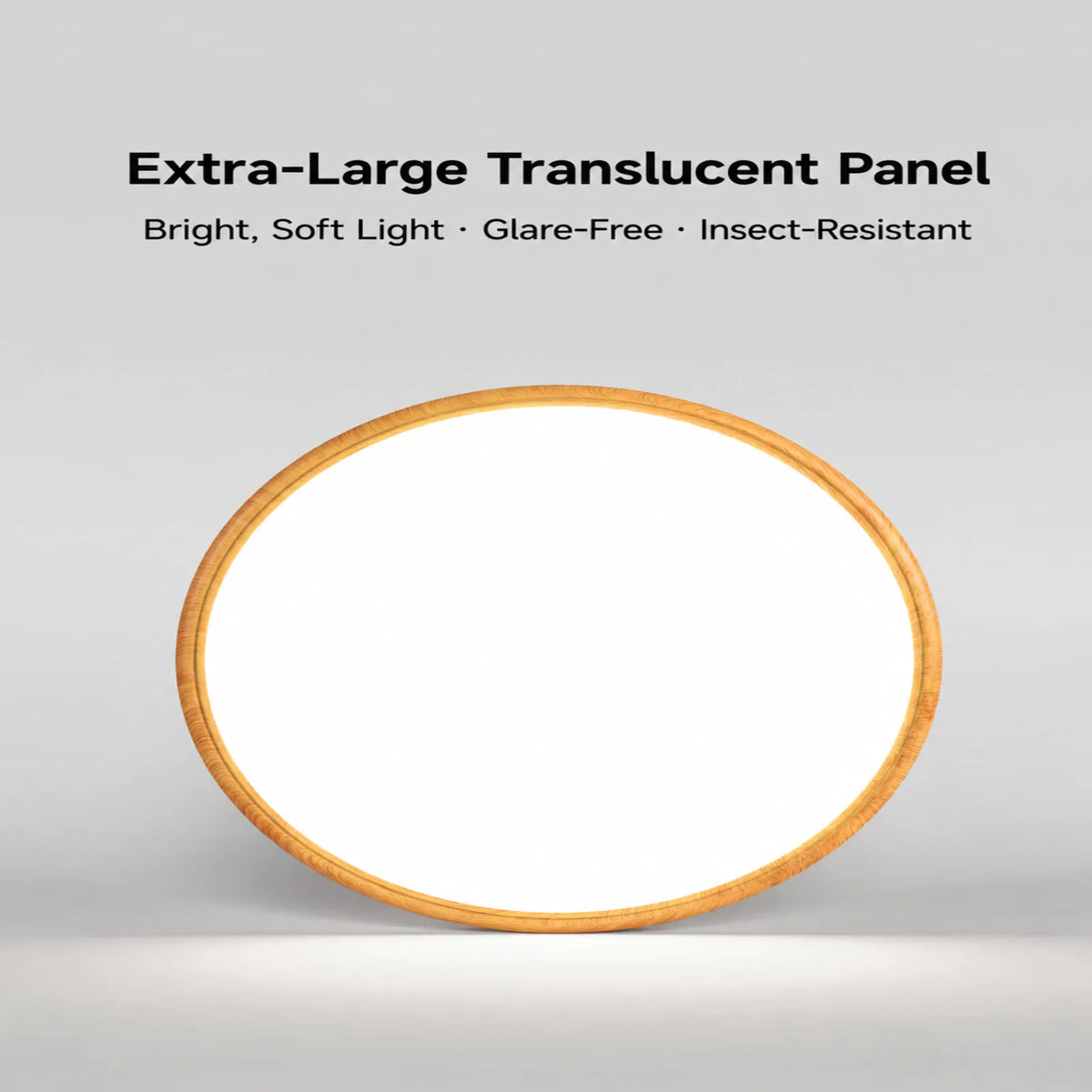 Pattern-Rim Round Ceiling Light