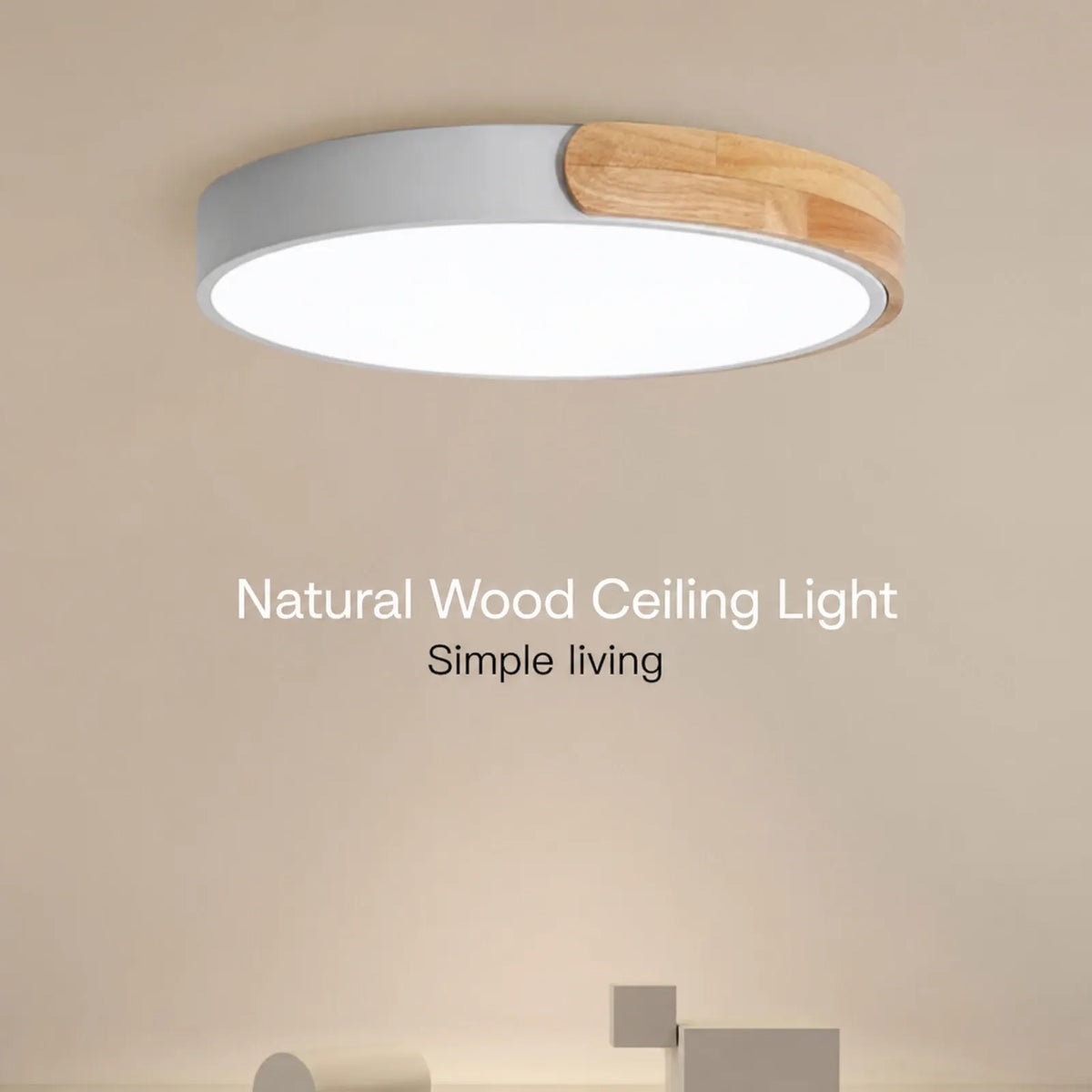 Split-Band Disc Ceiling Light
