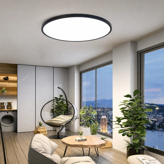 Slim Rimless Round Ceiling Light