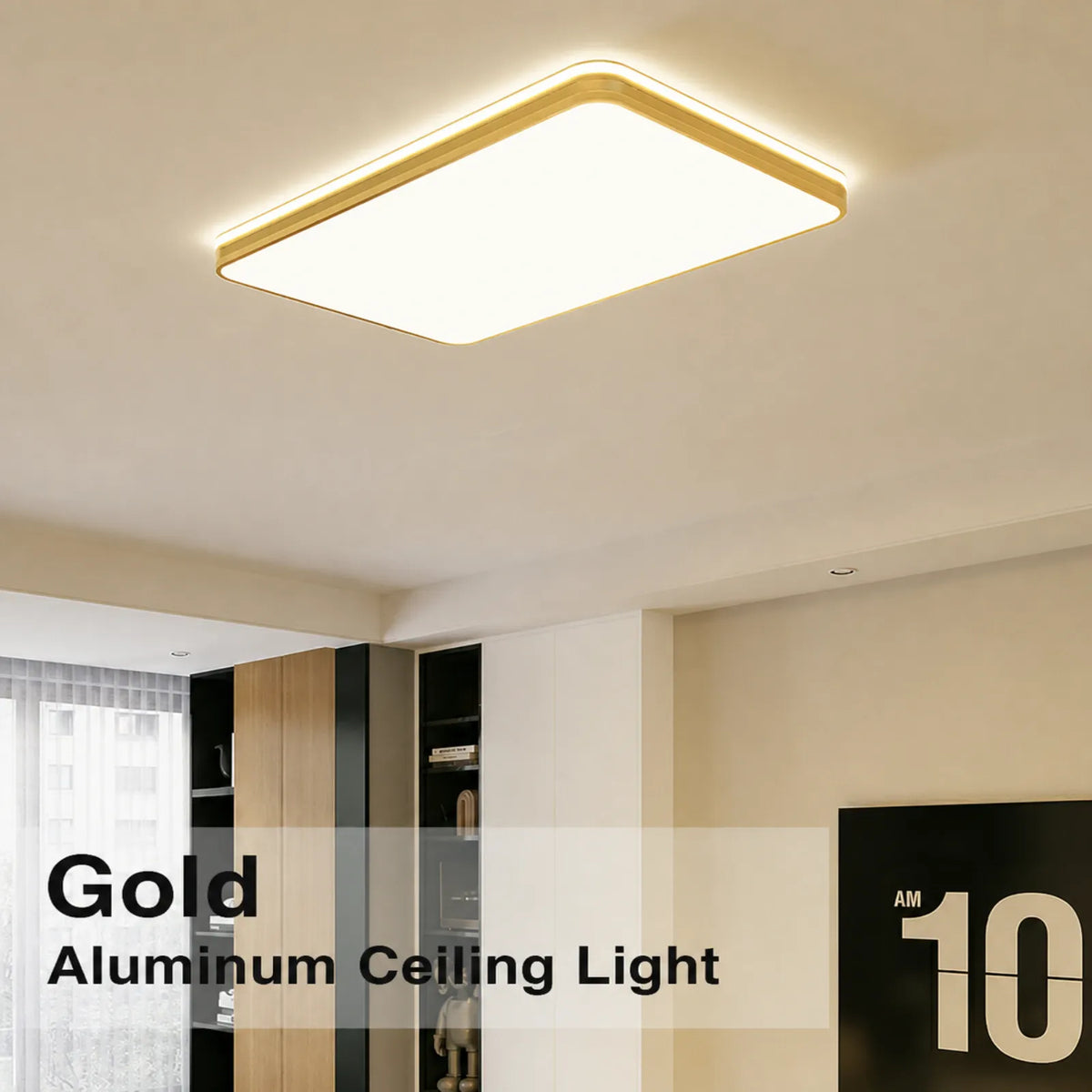 Dual-Edge Rounded Rectangle Ceiling Light