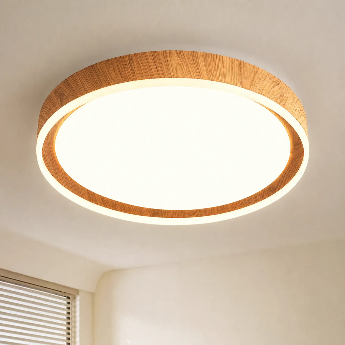 Pattern Ring-Inset Disc Ceiling Light