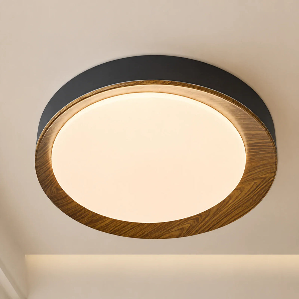 Wide Pattern-Rim Disc Ceiling Light